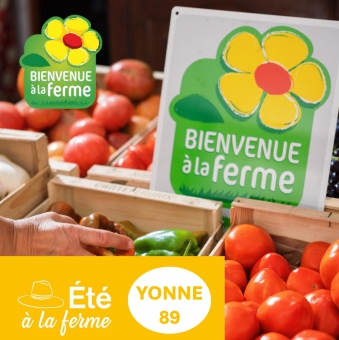 Programme des activités du réseau Bienvenue à la ferme de l'Yonne été 2024